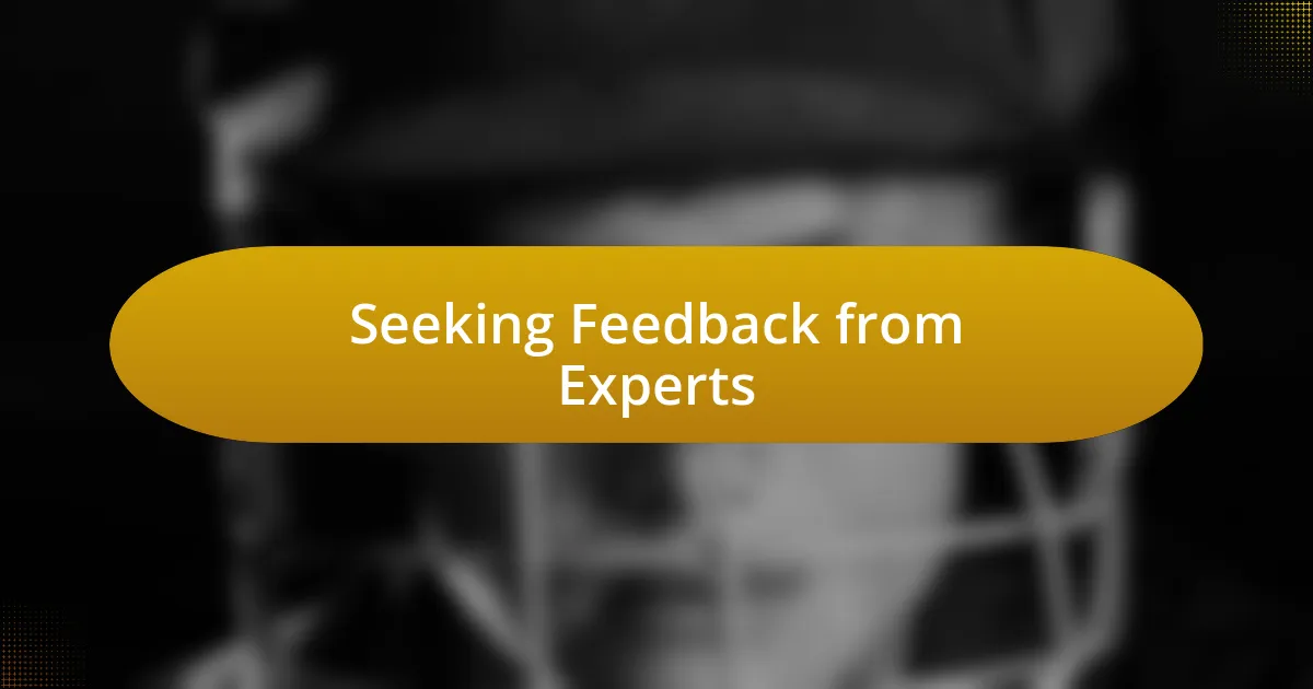 Seeking Feedback from Experts