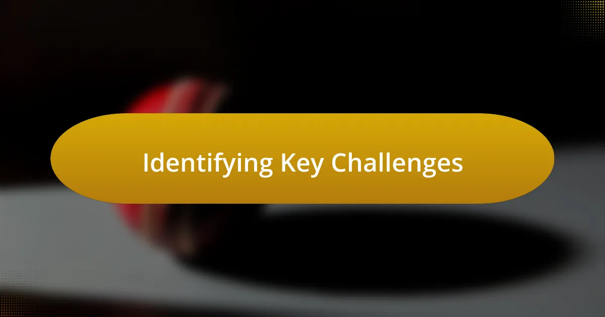 Identifying Key Challenges