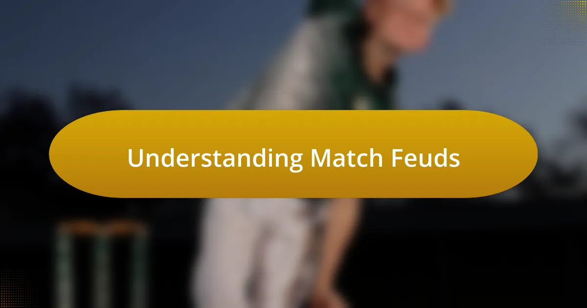 Understanding Match Feuds