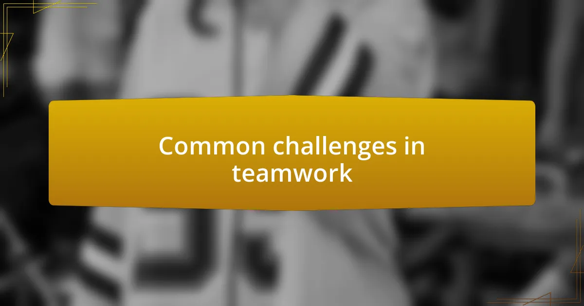 Common challenges in teamwork