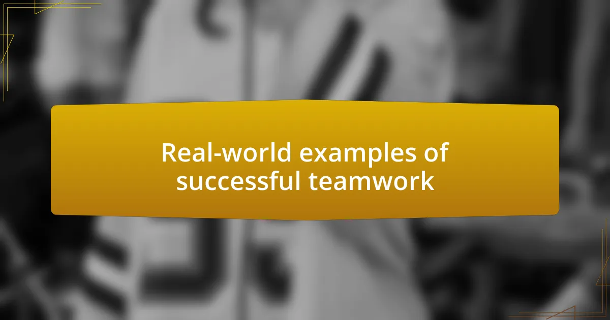 Real-world examples of successful teamwork