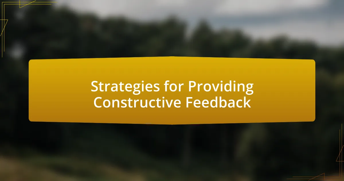 Strategies for Providing Constructive Feedback